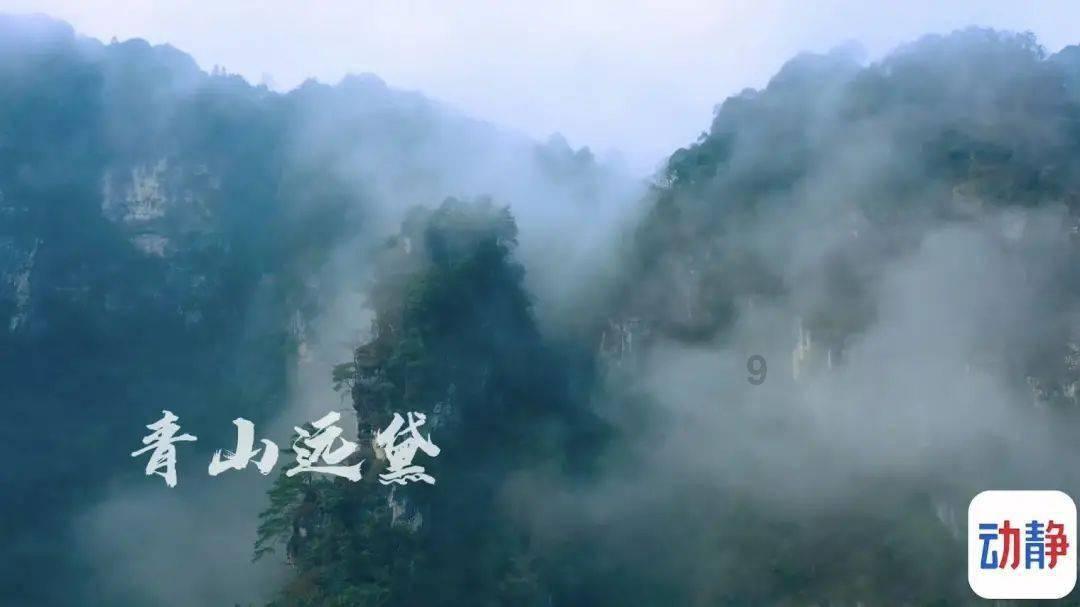 健美大赛
